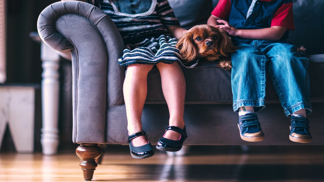 Kids Sitting on Sofa With Dog