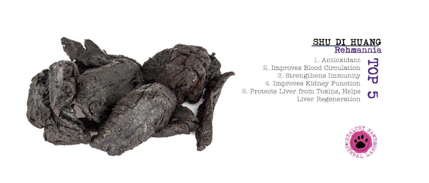 Slideshow Image 4