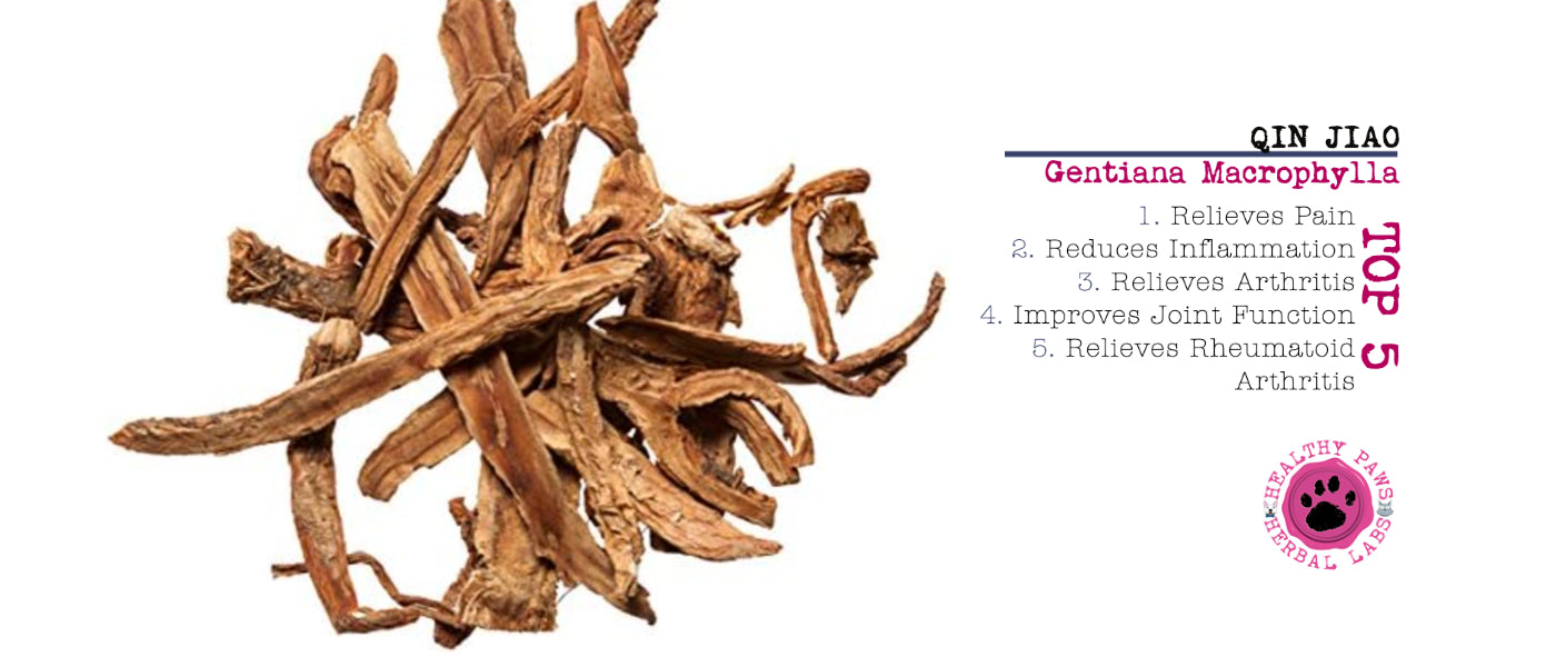 Slideshow Image 11