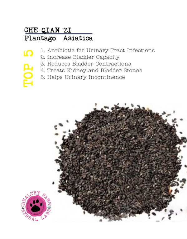 Slideshow Image 3