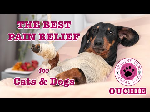 Liquid Supplement for Dog Pain Inflammation Healthy Paws Herbal Labs