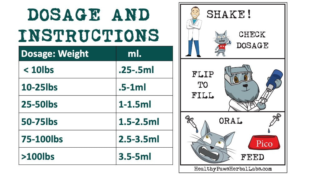 Constipation Relief My Dog Is Constipated What Can I Give Him