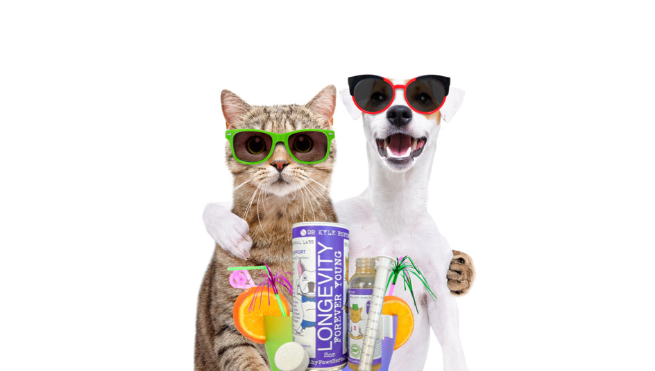 Forever Young - Pet Immune Booster