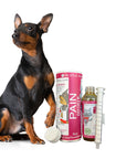 Golden Years - Senior Pet Wellness Support