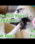 Yucky Fungus - For Pet Yeast & Fungal Infections