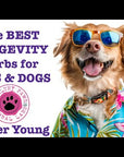 Forever Young - Pet Immune Booster