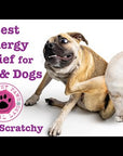 Itchy Scratchy - The Solution for Pet Allergies