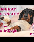 Ouchie - Pain Relief & Joint Support for Pets