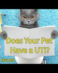 Pee Pee Issues - Pet UTI Relief