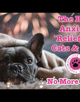 No More Drama - Pet Anxiety Relief